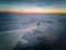 Airbus A220-300