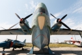 Beriev Be-6P