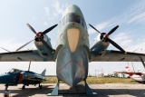 Beriev Be-6P
