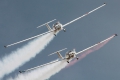 Grob G-109B