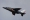 Dassault-Dornier Alpha Jet E