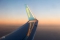 Boeing 737-8FZ