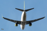 Boeing 737-36Q