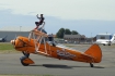 Boeing N2S-3 Kaydet (B75N1)