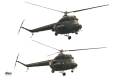 Mil (PZL-Swidnik) Mi-2D