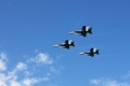 McDonnell Douglas EF-18M Hornet