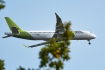 Airbus A220-300