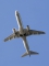 Embraer Lineage 1000 (ERJ-190-100ECJ)