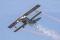Nieuport 24 (replica)