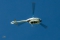Guimbal Cabri G2