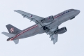 Airbus ACJ319 (A319-115/CJ)