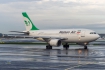 Airbus A310-304