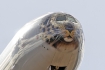 Boeing 777-312