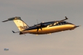 Piaggio P-180 Avanti Evo
