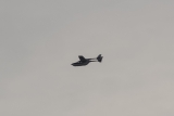 Reims F337F Super Skymaster