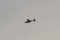 Reims F337F Super Skymaster