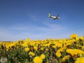 Airbus A220-300