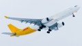 Airbus A330-322(P2F)