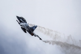 Saab JAS-39D Gripen
