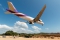 Boeing 777-3D7