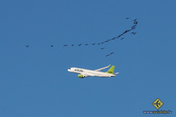 Airbus A220-300