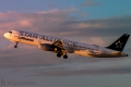 Airbus A321-131