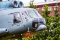 Mil ‎Mi-8T