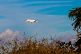 Airbus A300-608ST Beluga