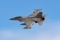 Lockheed Martin F-16C Fighting Falcon