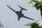 Rockwell B-1B Lancer