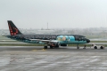 Airbus A320-214