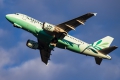 Airbus A319-114