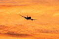 Boeing 787-8 Dreamliner