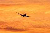 Boeing 787-8 Dreamliner