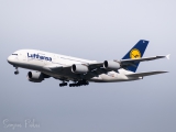 Airbus A380-841