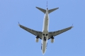 Boeing 737-8 MAX