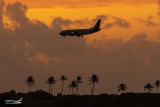 Boeing 737-330(SF)