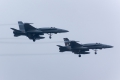 McDonnell Douglas EF-18M Hornet