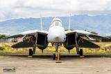 Grumman F-14D Tomcat