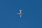 Saab S100D Argus (340AEW)
