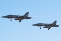McDonnell Douglas F/A-18A Hornet