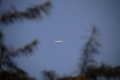 Airbus A220-300