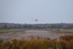 Cessna 150J