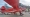Antonov (PZL-Mielec) An-2PK