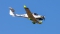 Diamond DA-40 NG Diamond Star