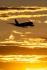 Airbus A380-861