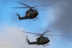 Bell CH-146 Griffon (412CF)