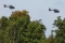 Airbus Helicopters H145M