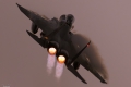 McDonnell Douglas F-15E Strike Eagle