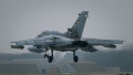 Panavia Tornado IDS(T)